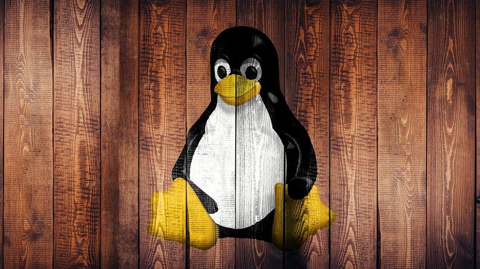 Reasons Why You Need to Choose Linux