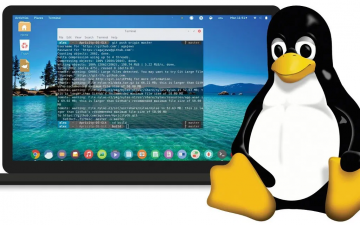 Benefits of Using Linux for Your Computer Operating System