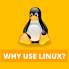 Top Reasons Why You Need to Choose Linux